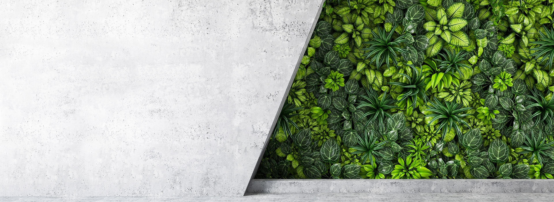 network energy efficiency