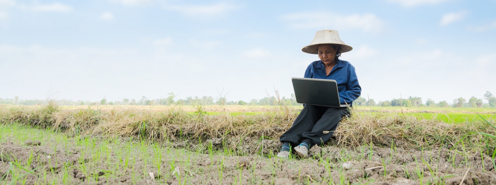 smart agriculture