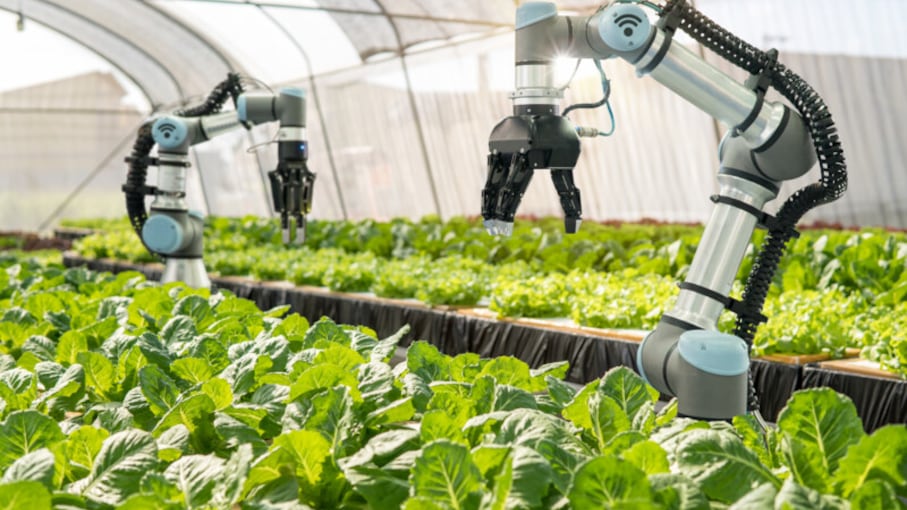 robot arm agriculture