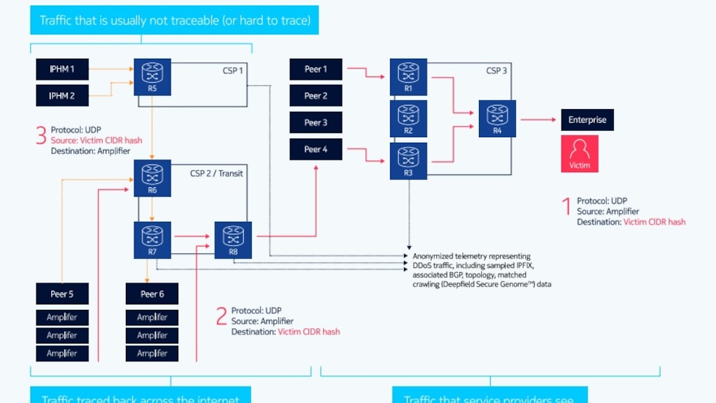 Figure 1 Tracing DDoS back to its origins