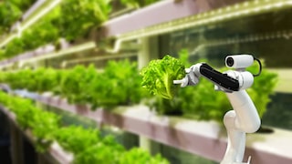 A robot arm surrounded by heads of lettuces holding a head of lettuce.