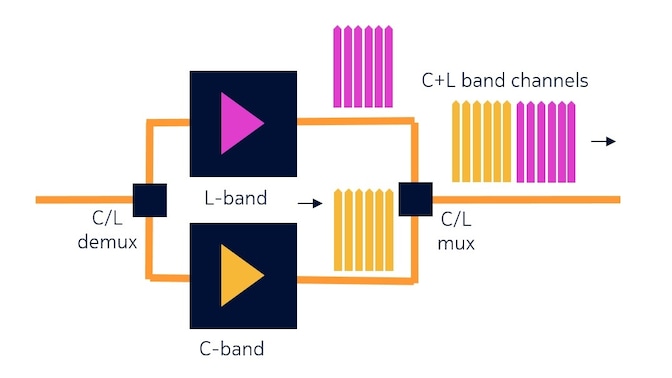 C plus L band