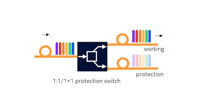 optical protection switch