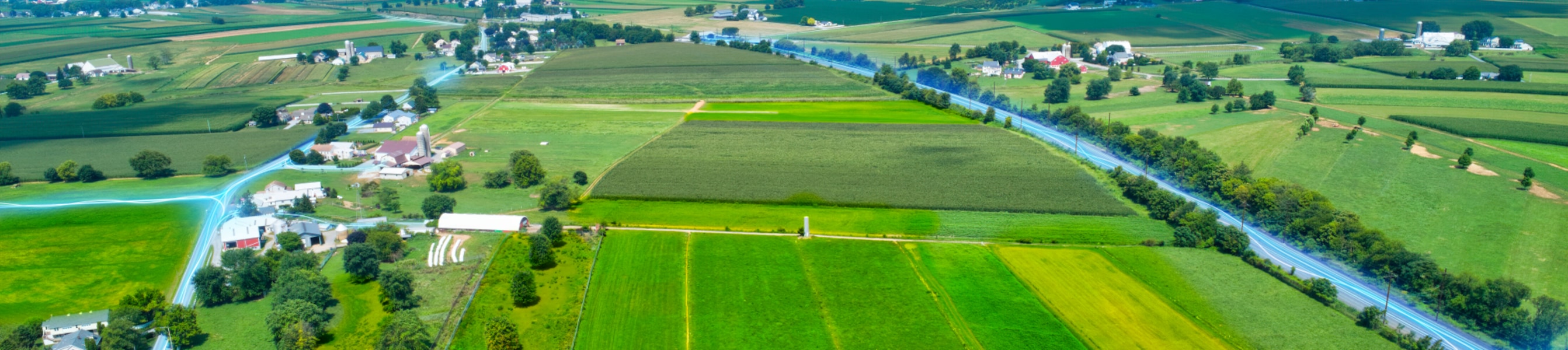 farm