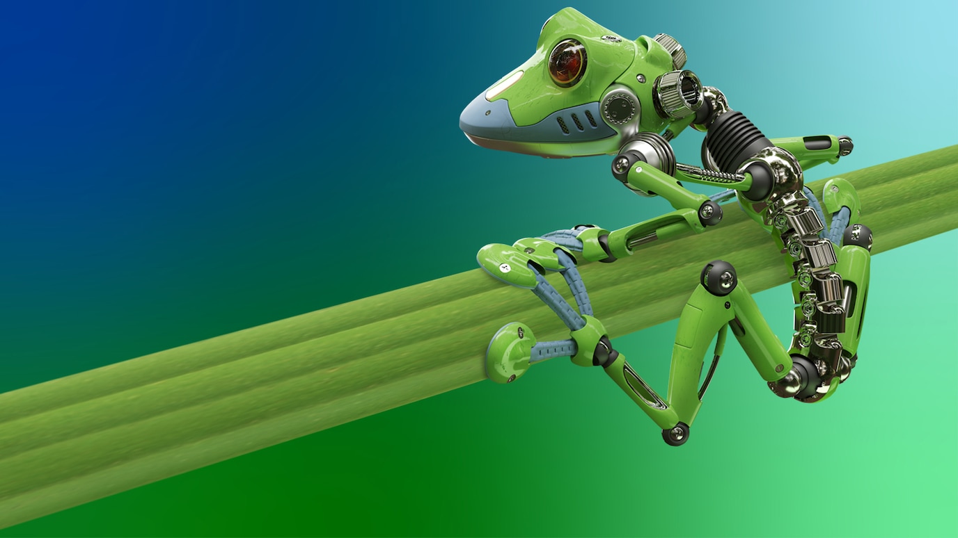 Robot frog