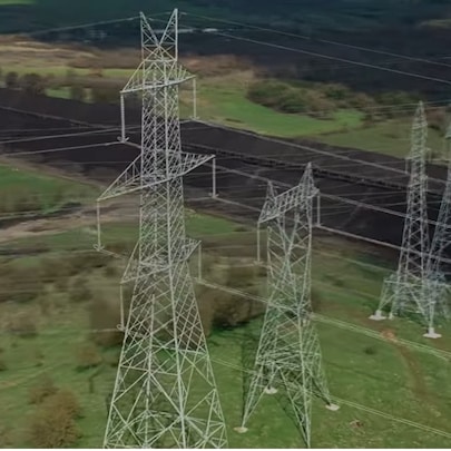 electrical lines and trees