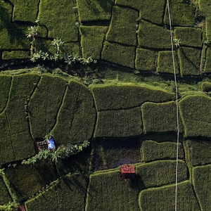 Patchwork of green fields seen from above