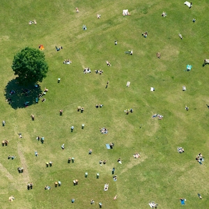 Overhead view of people sunbathing in a green park, some under the shade of a solitary tree  