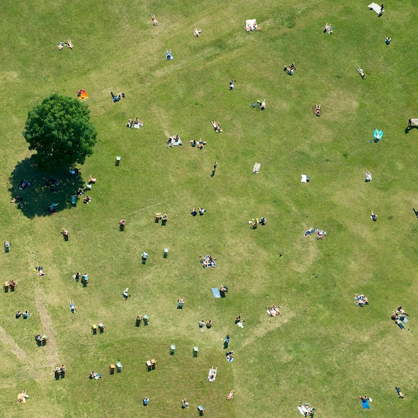 Overhead view of people sunbathing in a green park, some under the shade of a solitary tree  