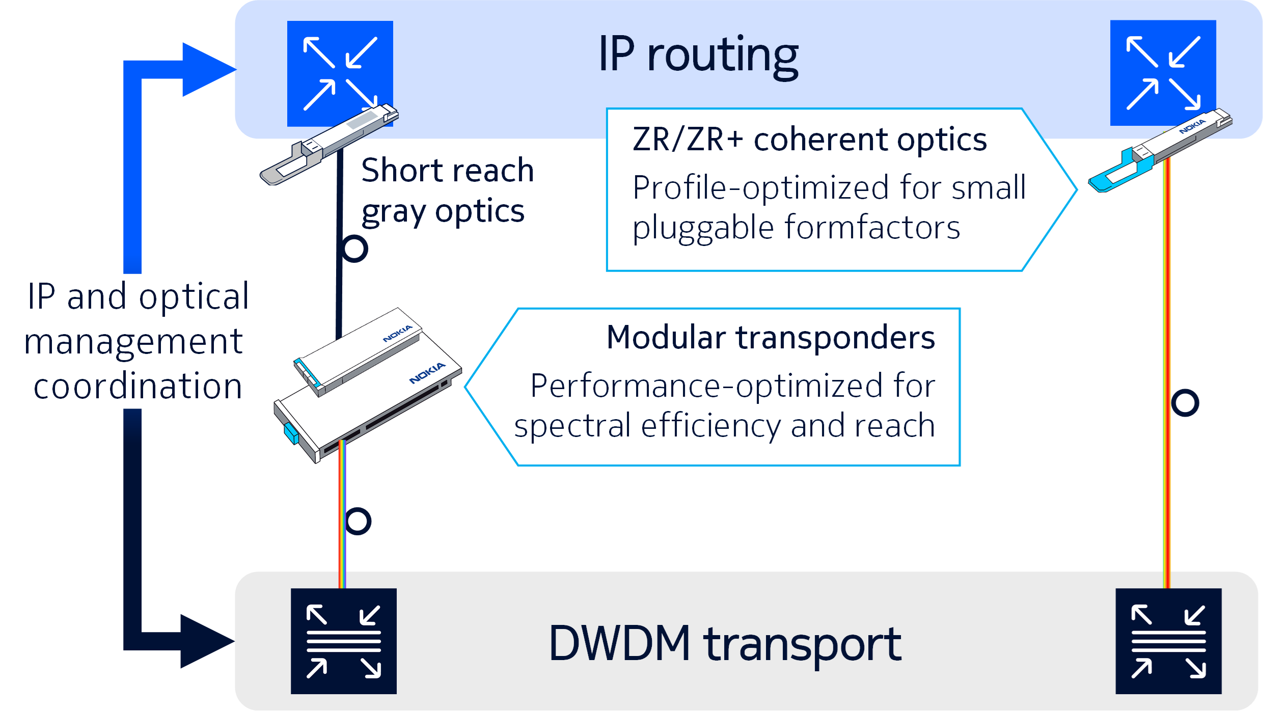 Nokia coherent routing solution