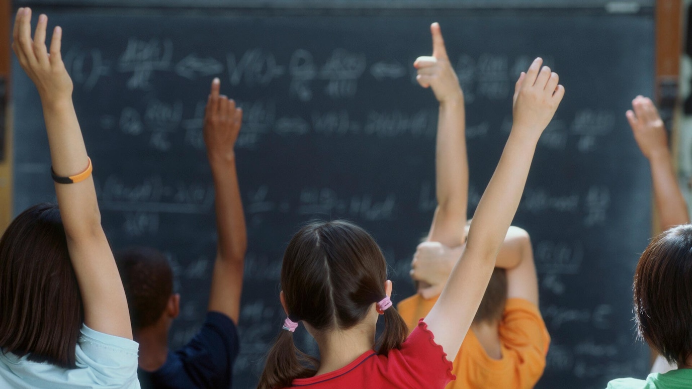 School children see from behind with hands raised in front of blackboard