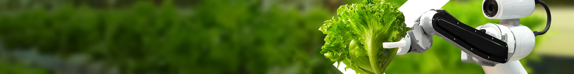 robot arm with lettuce