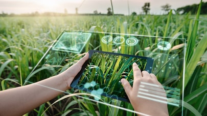 Augmented reality and tablet device being held in cornfield