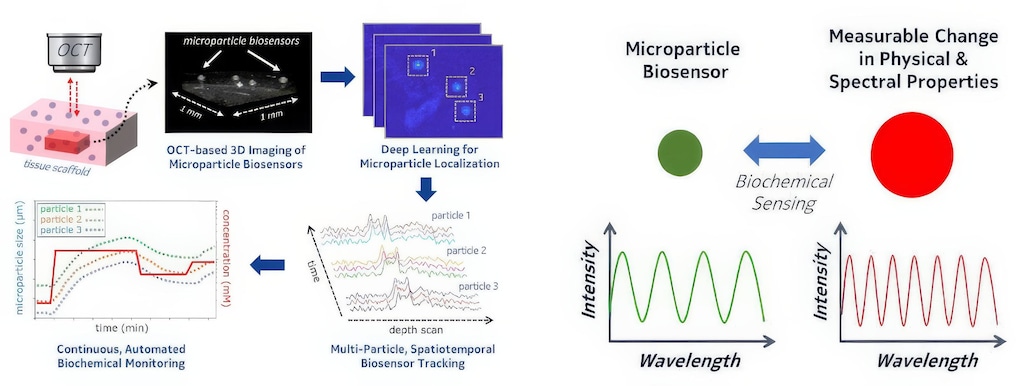 Biochemical sensing diagram