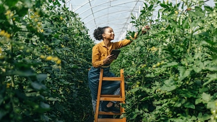 inspecting farm