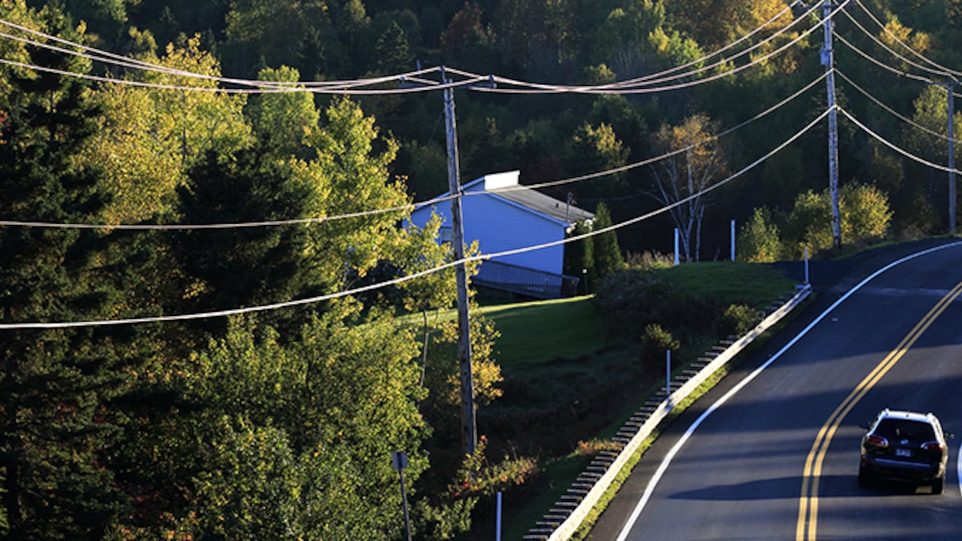 Utility Pole Assessment powered by AI: Revolutionizing public safety and digital infrastructure