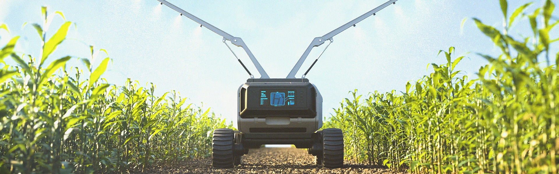 Tracked robot between rows of plants in field