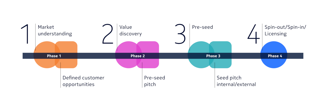 EIR timeline and phases