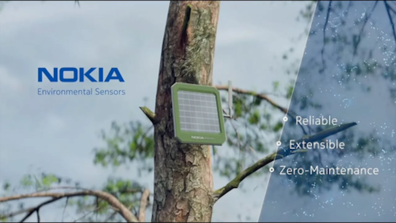 Nokia device on a tree