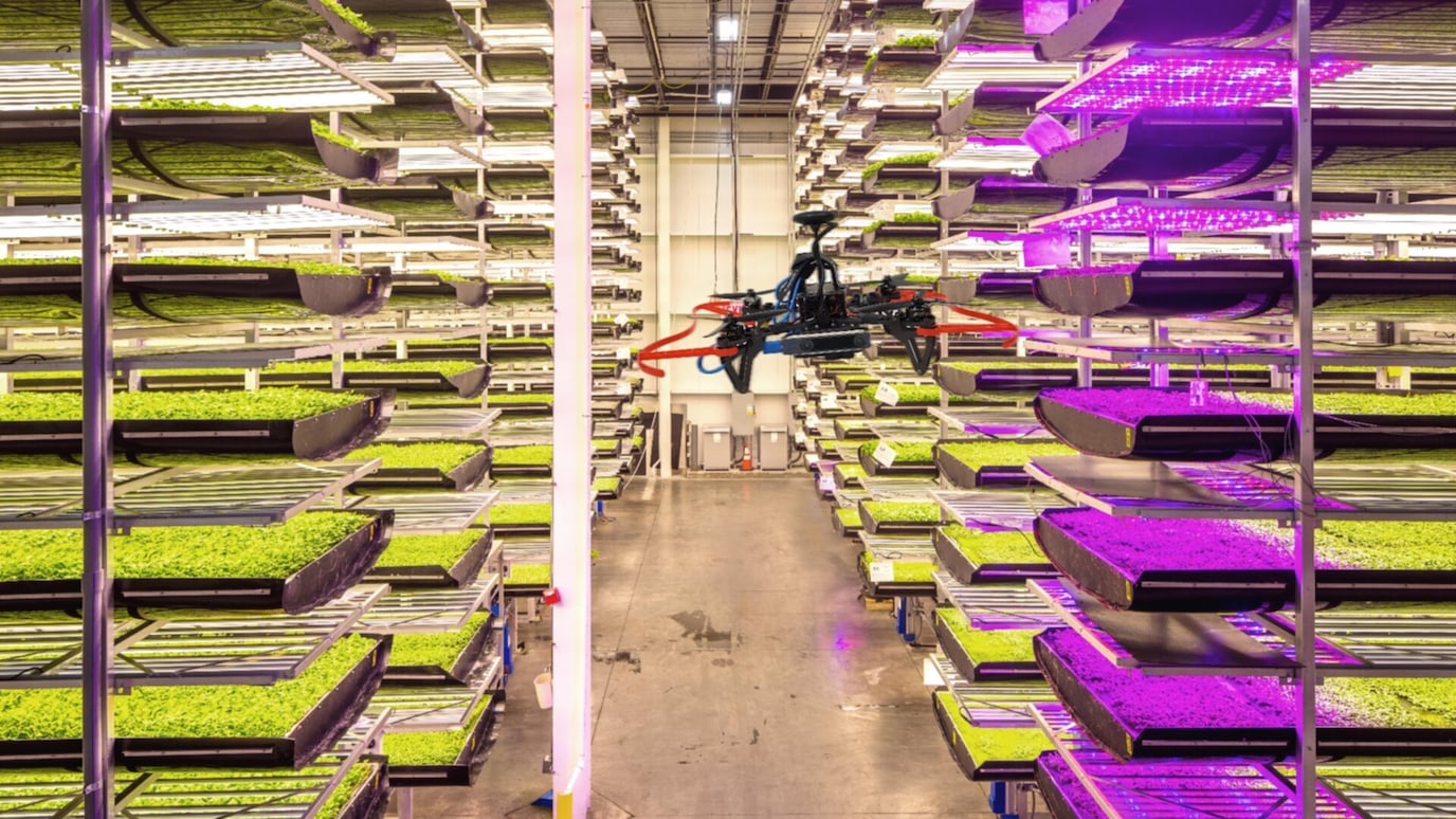 A drone flies through a vertical farm, inspecting rows of plants growing under LED lights