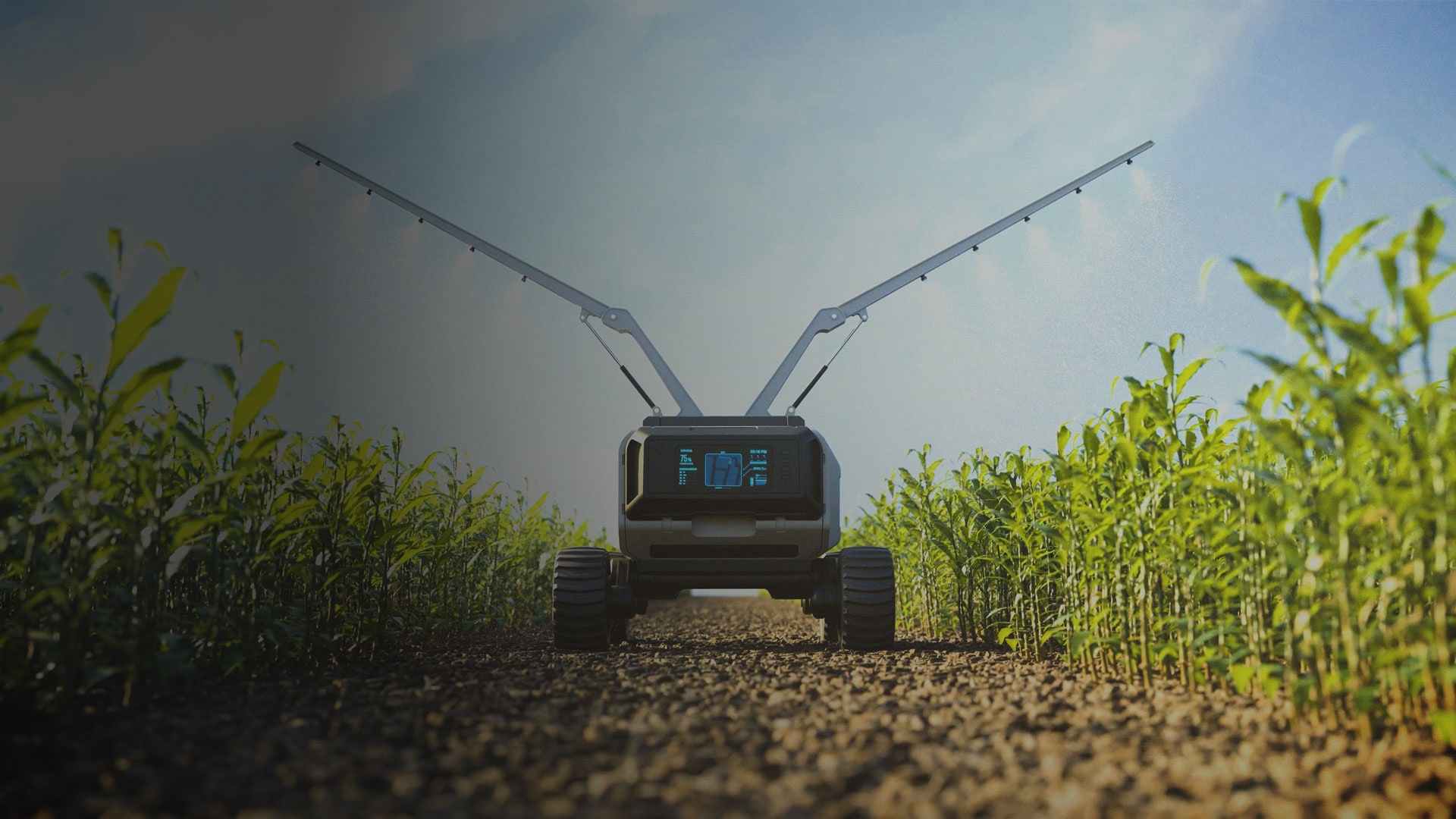 Crop watering robot