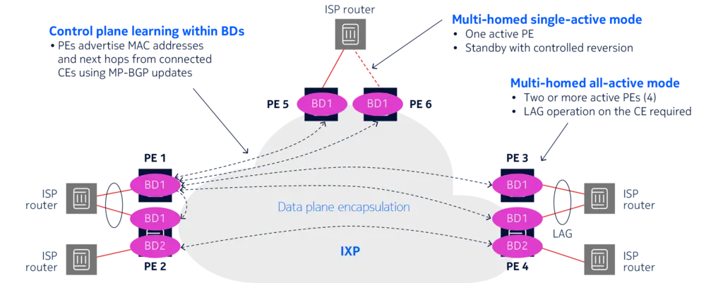 Diagram of an EVPN architecture that uses an MP-BGP control plane to learn and distribute layer 2 and layer 3 addresses. 