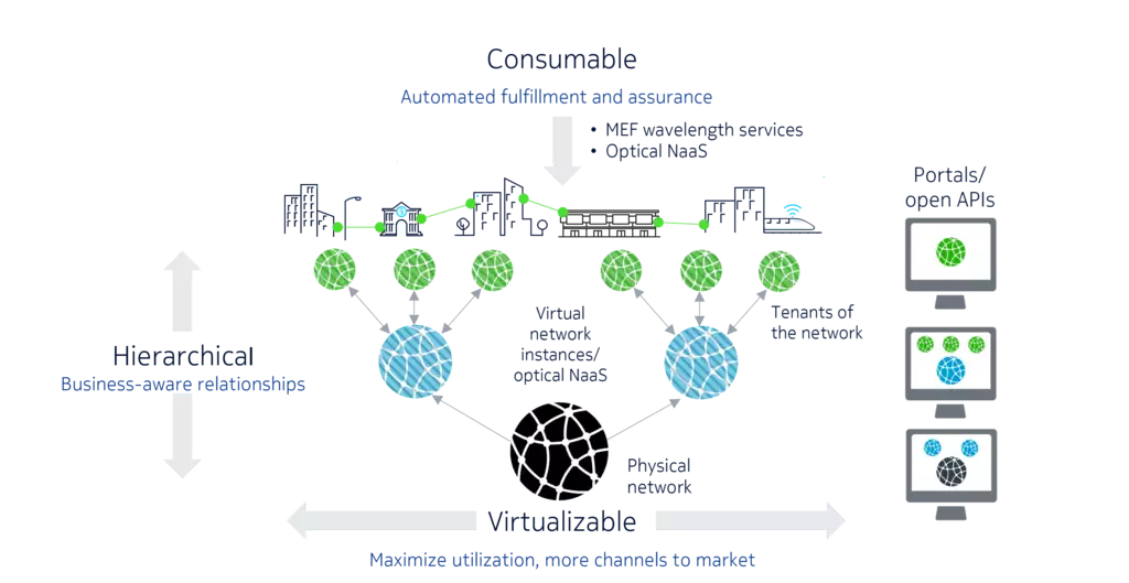 Figure 1: WaveSuite Service Enablement foundational data model