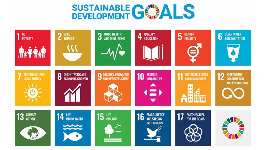 The United Nations Sustainable Development Goals (SDGs)