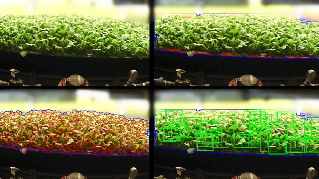 AI analyzing a vertical farm, with outlines showing its vision