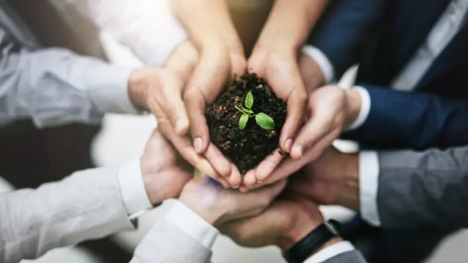 Hands holding soil and plants